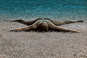 looks like me on a summer day